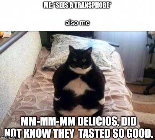 chonki babbie hungy | ME: *SEES A TRANSPHOBE*; also me; MM-MM-MM DELICIOS, DID NOT KNOW THEY  TASTED SO GOOD. | image tagged in short blank,chonki babbie hungy,cat cute | made w/ Imgflip meme maker