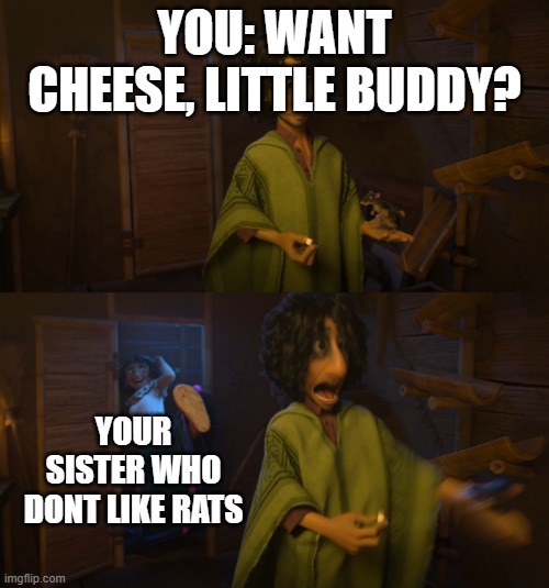 Hehe you traped | YOU: WANT CHEESE, LITTLE BUDDY? YOUR SISTER WHO DONT LIKE RATS | image tagged in encanto bruno mirabel | made w/ Imgflip meme maker