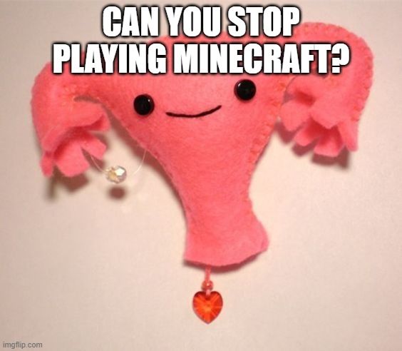 Happy Uterus | CAN YOU STOP PLAYING MINECRAFT? | image tagged in happy uterus,memes,president_joe_biden | made w/ Imgflip meme maker