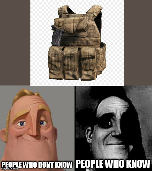 DayZ Plate carrier with Holster | PEOPLE WHO DONT KNOW; PEOPLE WHO KNOW | image tagged in traumatized mr incredible | made w/ Imgflip meme maker