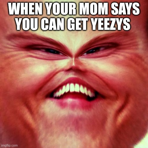 YEEZY | WHEN YOUR MOM SAYS YOU CAN GET YEEZYS | image tagged in memes | made w/ Imgflip meme maker
