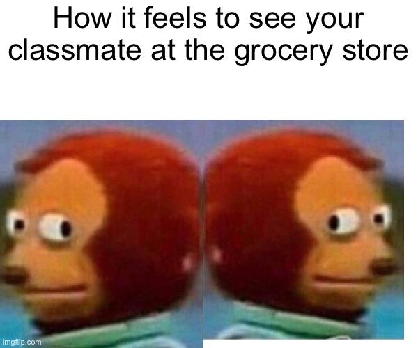 funny title lol | How it feels to see your classmate at the grocery store | image tagged in funny,class,grocery store,memes,monkey puppet | made w/ Imgflip meme maker