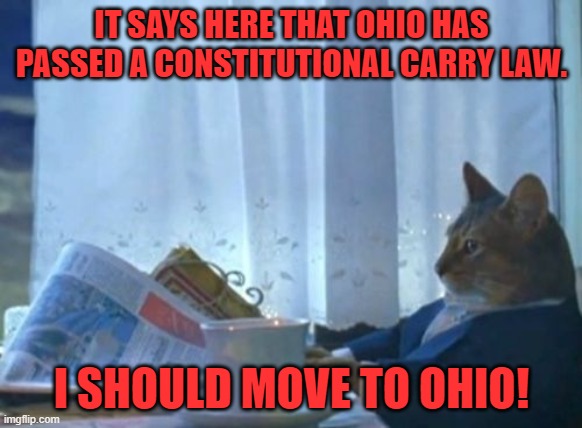 Colorado - are you paying attention? | IT SAYS HERE THAT OHIO HAS PASSED A CONSTITUTIONAL CARRY LAW. I SHOULD MOVE TO OHIO! | image tagged in i should buy a boat cat,ohio,constitutional carry,second amendment | made w/ Imgflip meme maker