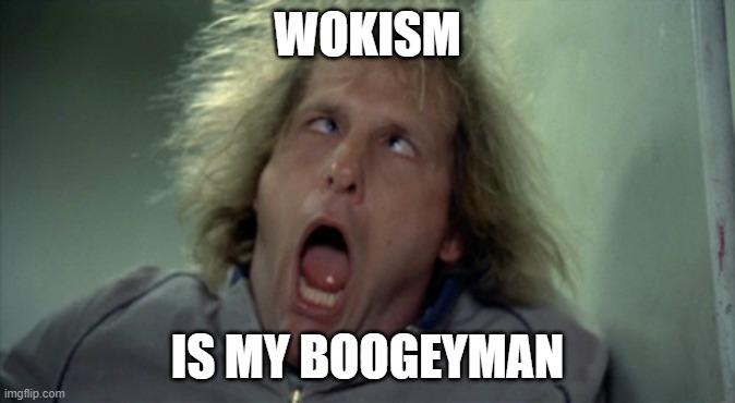 Scary Harry Meme | WOKISM IS MY BOOGEYMAN | image tagged in memes,scary harry | made w/ Imgflip meme maker