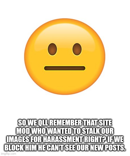 Still can't comment sadly | SO WE QLL REMEMBER THAT SITE MOD WHO WANTED TO STALK OUR IMAGES FOR HARASSMENT RIGHT? IF WE BLOCK HIM HE CAN'T SEE OUR NEW POSTS. | image tagged in straight face | made w/ Imgflip meme maker