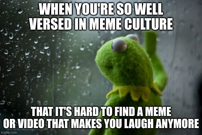 I feel the pain, of knowing too much | WHEN YOU'RE SO WELL VERSED IN MEME CULTURE; THAT IT'S HARD TO FIND A MEME OR VIDEO THAT MAKES YOU LAUGH ANYMORE | image tagged in kermit window | made w/ Imgflip meme maker