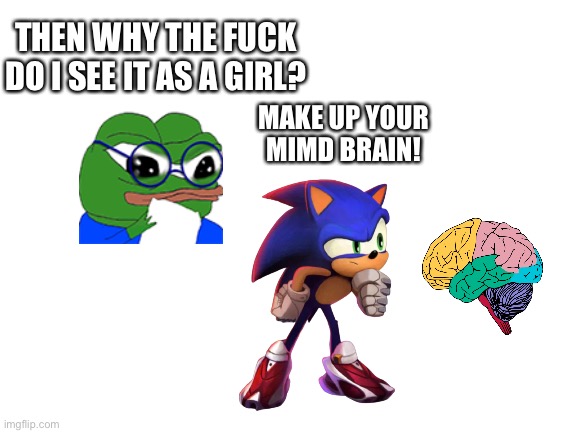 Blank White Template | THEN WHY THE FUCK DO I SEE IT AS A GIRL? MAKE UP YOUR MIMD BRAIN! | image tagged in blank white template | made w/ Imgflip meme maker