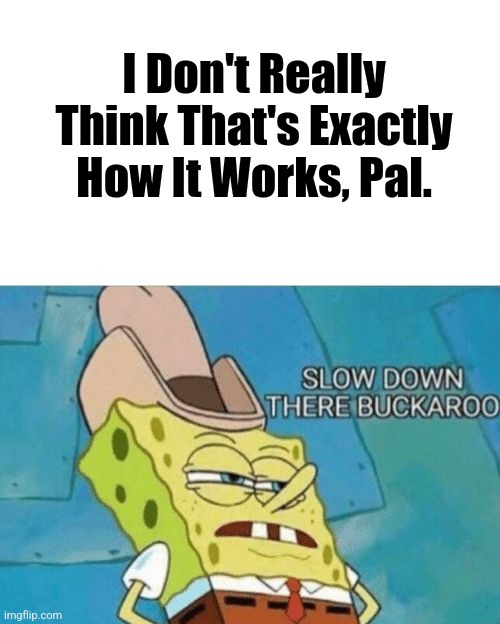 Slow down there buckaroo | I Don't Really Think That's Exactly How It Works, Pal. | image tagged in slow down there buckaroo | made w/ Imgflip meme maker