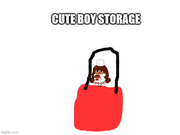 donot steal the scrimblo | CUTE BOY STORAGE | image tagged in blank white template | made w/ Imgflip meme maker