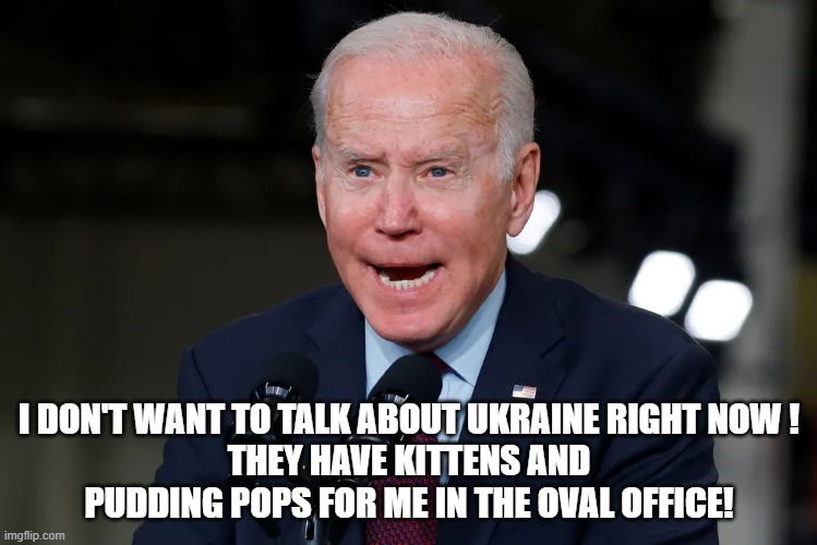 Biden can't be bothered with the Ukraine problem right now. | I DON'T WANT TO TALK ABOUT UKRAINE RIGHT NOW !
THEY HAVE KITTENS AND PUDDING POPS FOR ME IN THE OVAL OFFICE! | image tagged in joe biden,ukraine,vladimir putin,russia | made w/ Imgflip meme maker