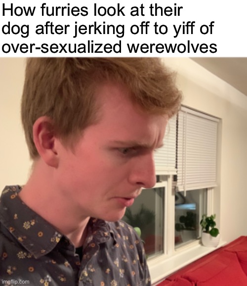 The dog doesn’t just look like a pet anymore | How furries look at their dog after jerking off to yiff of 
over-sexualized werewolves | made w/ Imgflip meme maker