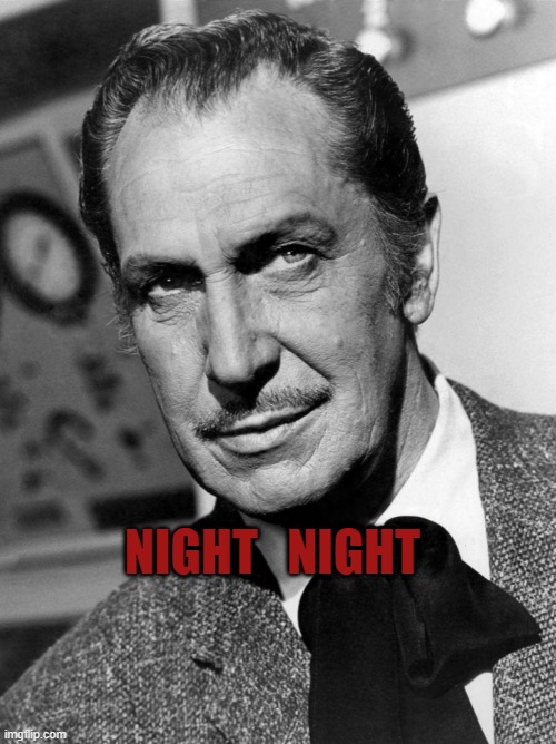 night night | NIGHT   NIGHT | image tagged in vincent price says | made w/ Imgflip meme maker