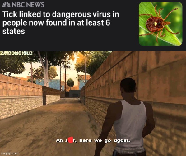 H o o r a y , another pandemic | image tagged in here we go again | made w/ Imgflip meme maker