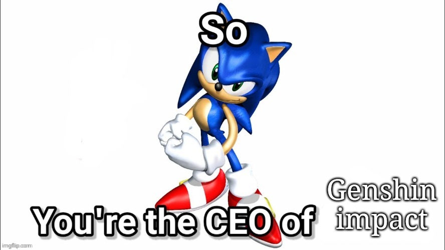 so you're the CEO of | Genshin impact | image tagged in so you're the ceo of | made w/ Imgflip meme maker