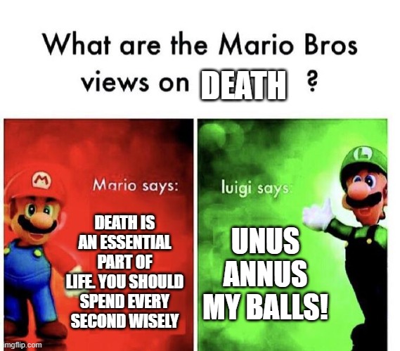 Mario Bros Views | DEATH; DEATH IS AN ESSENTIAL PART OF LIFE. YOU SHOULD SPEND EVERY SECOND WISELY; UNUS ANNUS MY BALLS! | image tagged in mario bros views | made w/ Imgflip meme maker