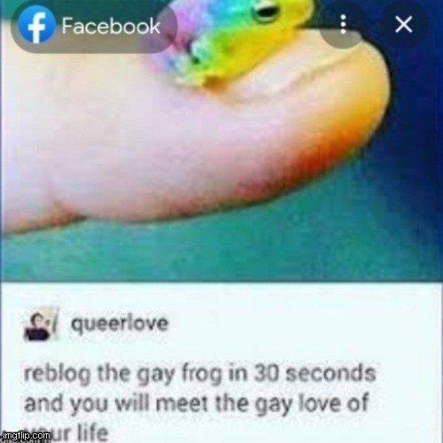 oiubui | image tagged in comments | made w/ Imgflip meme maker