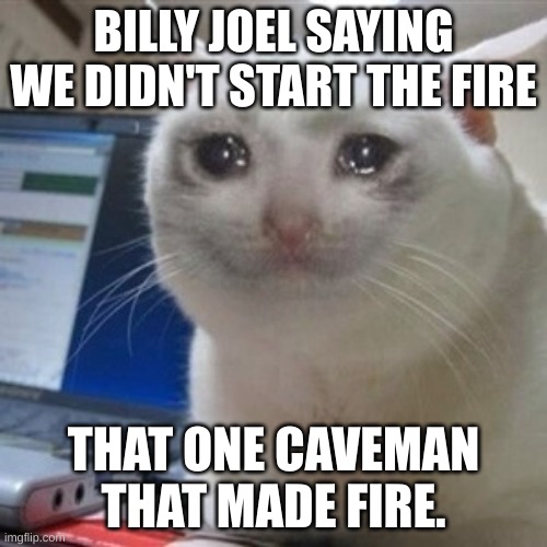 Crying cat | BILLY JOEL SAYING WE DIDN'T START THE FIRE; THAT ONE CAVEMAN THAT MADE FIRE. | image tagged in crying cat | made w/ Imgflip meme maker