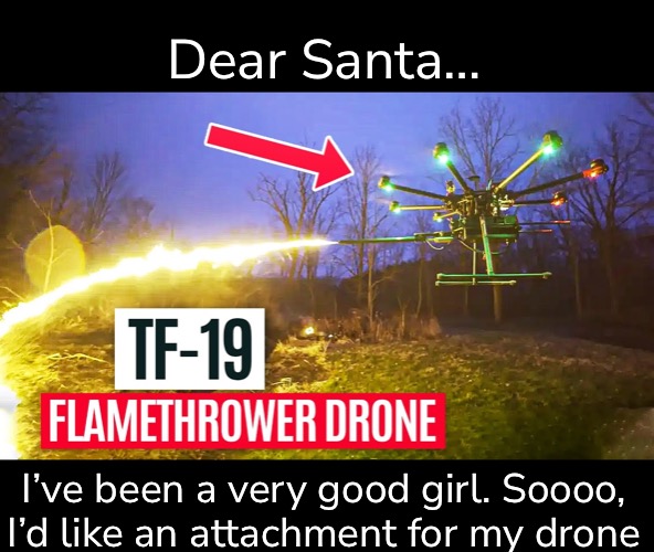 I’ve been a very good girl. Soooo, I’d like an attachment for my drone Dear Santa… | made w/ Imgflip meme maker