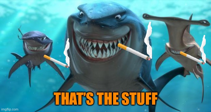 Fish are friends not food | THAT’S THE STUFF | image tagged in fish are friends not food | made w/ Imgflip meme maker