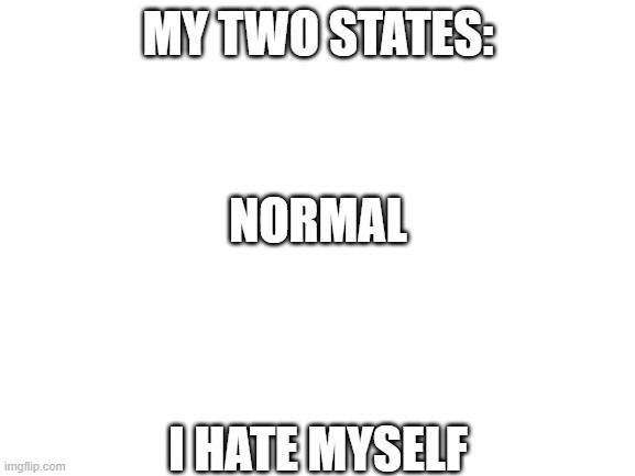 Blank White Template | MY TWO STATES:; NORMAL
 
 
 
I HATE MYSELF | image tagged in blank white template | made w/ Imgflip meme maker