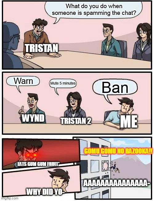 discord mods tryouts fail | What do you do when someone is spamming the chat? TRISTAN; Warn; Mute 5 minutes; Ban; ME; WYND; TRISTAN 2; GOMU GOMU NO BAZOOKA!! EATS GUM GUM FRUIT*; AAAAAAAAAAAAAAA-; WHY DID YO- | image tagged in memes,boardroom meeting suggestion | made w/ Imgflip meme maker