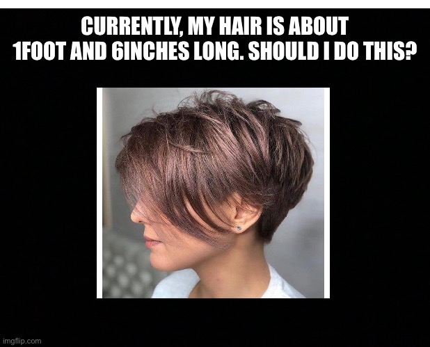 CURRENTLY, MY HAIR IS ABOUT 1FOOT AND 6INCHES LONG. SHOULD I DO THIS? | image tagged in haircut,hair,ideas | made w/ Imgflip meme maker