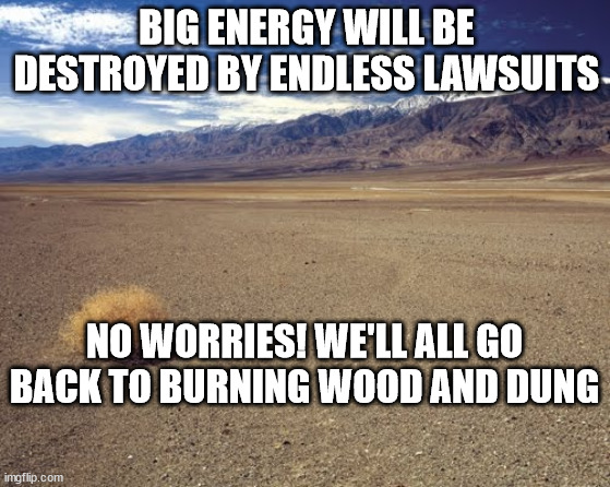 desert tumbleweed | BIG ENERGY WILL BE DESTROYED BY ENDLESS LAWSUITS; NO WORRIES! WE'LL ALL GO BACK TO BURNING WOOD AND DUNG | image tagged in desert tumbleweed | made w/ Imgflip meme maker