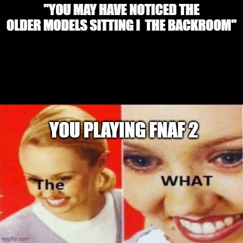 The What | "YOU MAY HAVE NOTICED THE OLDER MODELS SITTING I  THE BACKROOM"; YOU PLAYING FNAF 2 | image tagged in the what | made w/ Imgflip meme maker
