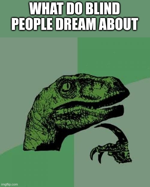 Philosoraptor Meme | WHAT DO BLIND PEOPLE DREAM ABOUT | image tagged in memes,philosoraptor | made w/ Imgflip meme maker