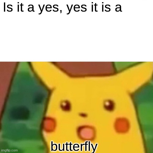 Surprised Pikachu | Is it a yes, yes it is a; butterfly | image tagged in memes,surprised pikachu | made w/ Imgflip meme maker