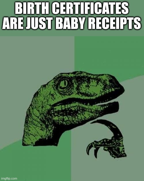 Philosoraptor | BIRTH CERTIFICATES ARE JUST BABY RECEIPTS | image tagged in memes,philosoraptor | made w/ Imgflip meme maker