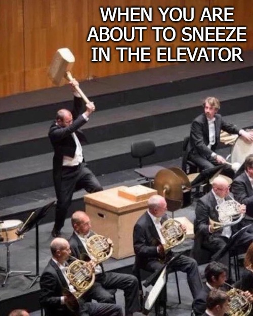 WHEN YOU ARE ABOUT TO SNEEZE IN THE ELEVATOR | image tagged in sneeze | made w/ Imgflip meme maker