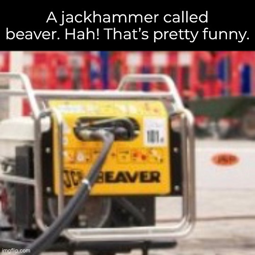 A jackhammer called beaver. Hah! That’s pretty funny. | made w/ Imgflip meme maker