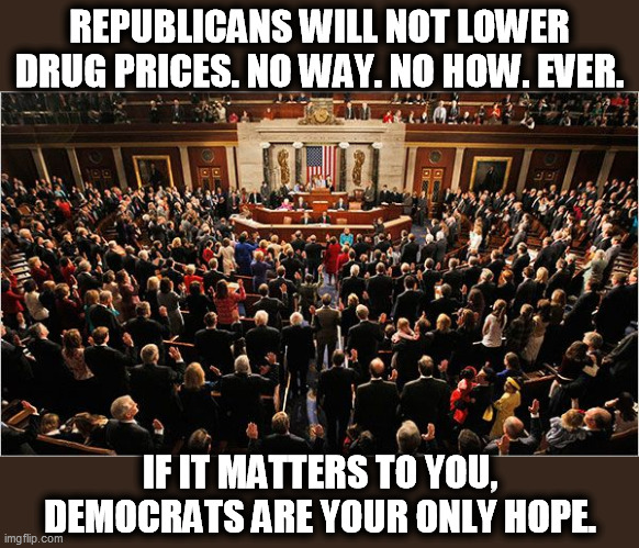 Not, not, not. | REPUBLICANS WILL NOT LOWER DRUG PRICES. NO WAY. NO HOW. EVER. IF IT MATTERS TO YOU, DEMOCRATS ARE YOUR ONLY HOPE. | image tagged in congress,drug,prices,democrats,yes | made w/ Imgflip meme maker