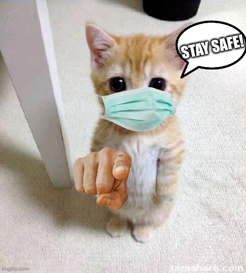 Safe cat | STAY SAFE! | image tagged in memes,cute cat | made w/ Imgflip meme maker