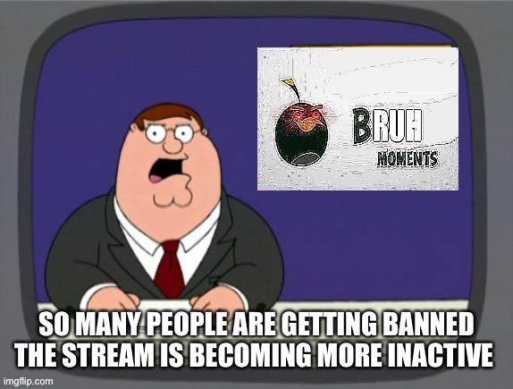 This is like the 3rd wave of bans | SO MANY PEOPLE ARE GETTING BANNED THE STREAM IS BECOMING MORE INACTIVE | image tagged in bru | made w/ Imgflip meme maker