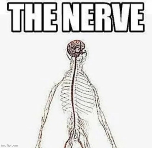 THE NERVE | made w/ Imgflip meme maker