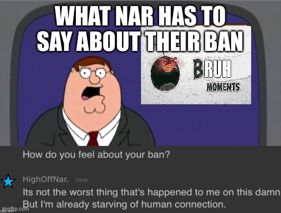 Go ahead and memechat them I guess, maybe it will make them feel better | WHAT NAR HAS TO SAY ABOUT THEIR BAN | image tagged in bru | made w/ Imgflip meme maker