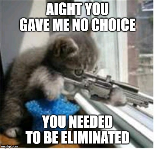 Lolcat |  AIGHT YOU GAVE ME NO CHOICE; YOU NEEDED TO BE ELIMINATED | image tagged in hitman lolcat,give up,dang it,oh my god | made w/ Imgflip meme maker