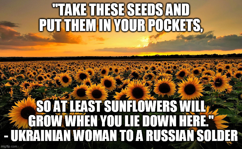 Field of Sunflowers | "TAKE THESE SEEDS AND PUT THEM IN YOUR POCKETS, SO AT LEAST SUNFLOWERS WILL GROW WHEN YOU LIE DOWN HERE." - UKRAINIAN WOMAN TO A RUSSIAN SOLDER | image tagged in field of sunflowers | made w/ Imgflip meme maker
