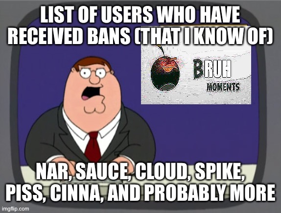 I got banned -plr | LIST OF USERS WHO HAVE RECEIVED BANS (THAT I KNOW OF); NAR, SAUCE, CLOUD, SPIKE, PISS, CINNA, AND PROBABLY MORE | image tagged in bru | made w/ Imgflip meme maker