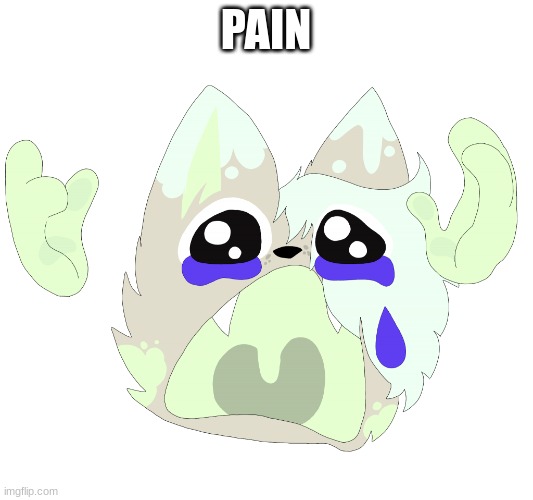 hey cinna how are you | PAIN | image tagged in waaaaa mint | made w/ Imgflip meme maker