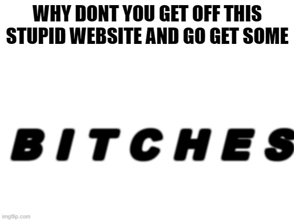 Blank White Template | WHY DONT YOU GET OFF THIS STUPID WEBSITE AND GO GET SOME; B I T C H E S | image tagged in blank white template | made w/ Imgflip meme maker