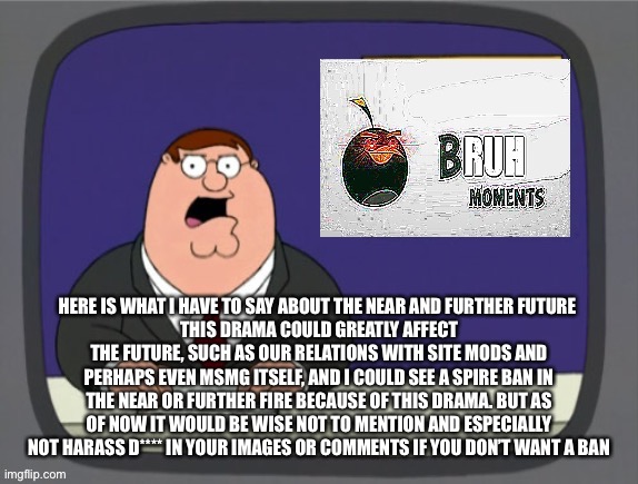 Bru | HERE IS WHAT I HAVE TO SAY ABOUT THE NEAR AND FURTHER FUTURE 
THIS DRAMA COULD GREATLY AFFECT THE FUTURE, SUCH AS OUR RELATIONS WITH SITE MODS AND PERHAPS EVEN MSMG ITSELF, AND I COULD SEE A SPIRE BAN IN THE NEAR OR FURTHER FIRE BECAUSE OF THIS DRAMA. BUT AS OF NOW IT WOULD BE WISE NOT TO MENTION AND ESPECIALLY NOT HARASS D**** IN YOUR IMAGES OR COMMENTS IF YOU DON’T WANT A BAN | image tagged in bru | made w/ Imgflip meme maker