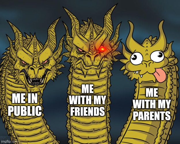 Kevin, focus! | ME WITH MY FRIENDS; ME WITH MY PARENTS; ME IN PUBLIC | image tagged in three-headed dragon | made w/ Imgflip meme maker