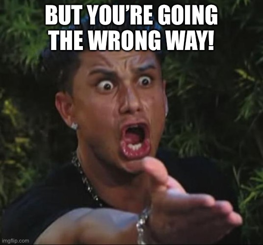 DJ Pauly D Meme | BUT YOU’RE GOING
THE WRONG WAY! | image tagged in memes,dj pauly d | made w/ Imgflip meme maker