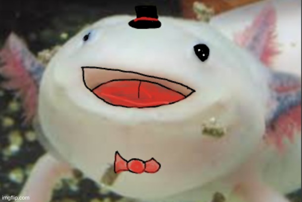 Comment if you want axolotl pfp! | made w/ Imgflip meme maker