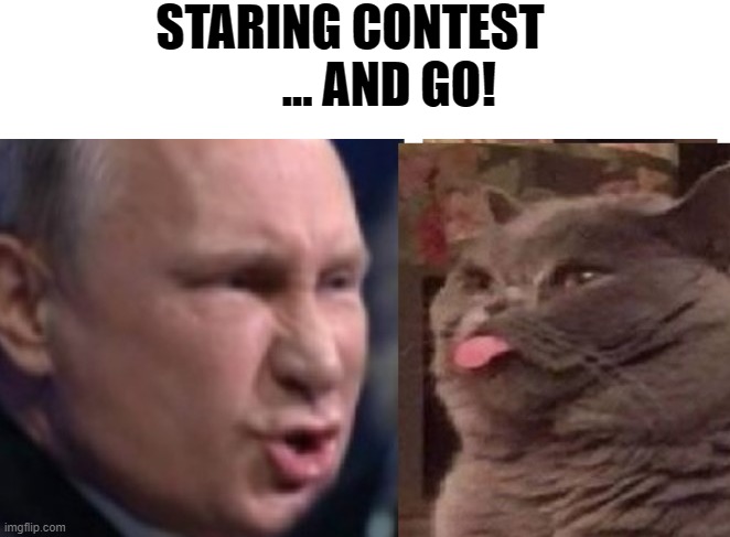 STARING CONTEST ... AND GO! | STARING CONTEST         ... AND GO! | image tagged in staring contest and go | made w/ Imgflip meme maker