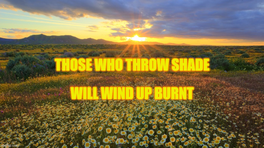 sun rays flowers | THOSE WHO THROW SHADE; WILL WIND UP BURNT | image tagged in sun rays flowers,throwing shade,keep throwing shade,in the spotlight,center of attention,you get burned | made w/ Imgflip meme maker