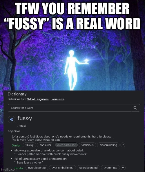 Raine’s temp | TFW YOU REMEMBER “FUSSY” IS A REAL WORD | image tagged in raine s temp | made w/ Imgflip meme maker